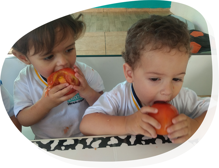 Maternal – Mini-Maternal • G1 | Bloom Educação Infantil