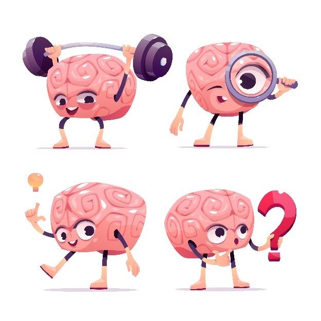 Desenvolvimento do Cérebro Infantil