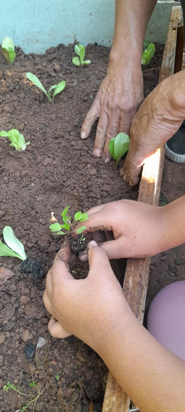 Nossos Princípios | Bloom Educação Infantil