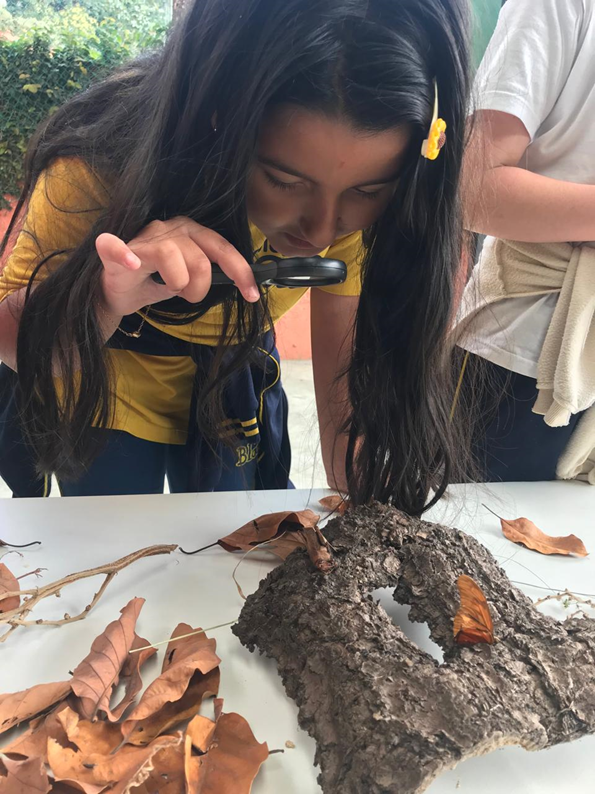 ✨Aprender é investigar: o poder das perguntas das crianças